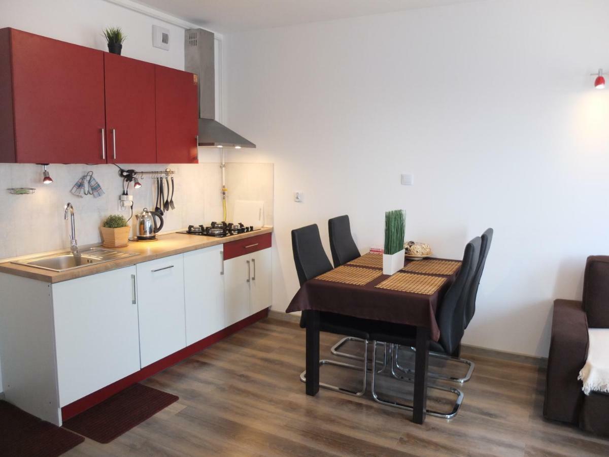 Apartament Lublin Stare Miasto "Wild Cat" Kültér fotó