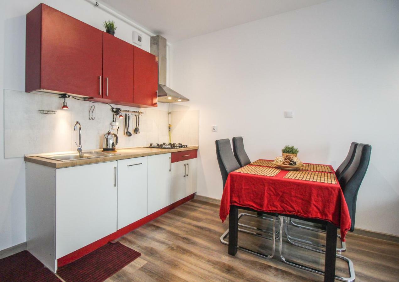 Apartament Lublin Stare Miasto "Wild Cat" Kültér fotó