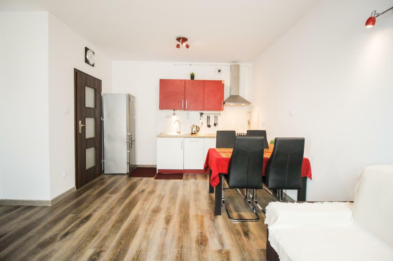 Apartament Lublin Stare Miasto "Wild Cat" Kültér fotó